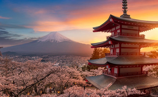 JAPAN (STUDY AND WORK)